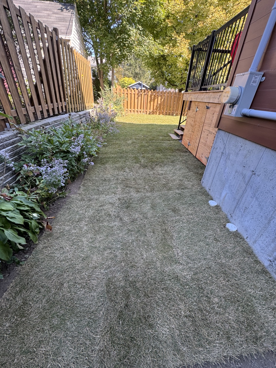 Terrassement sur le côté de la maison